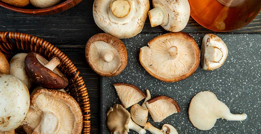 Getting The Best Out of Mushroom: Canada Fungi Guide