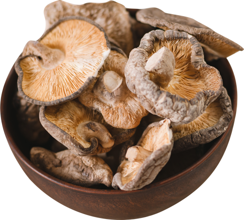 Dried Mushrooms