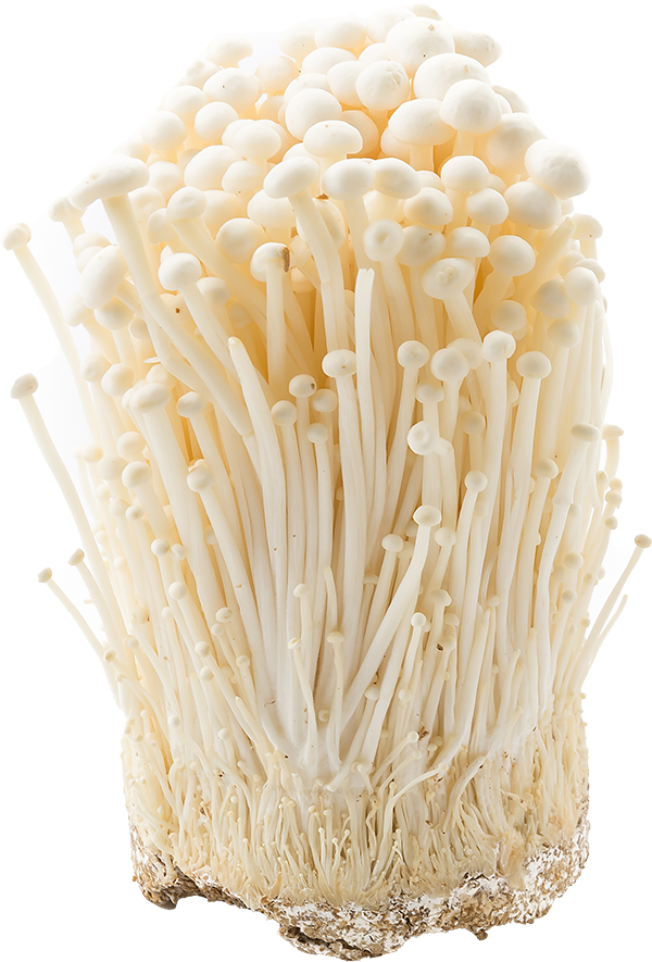 Mushroom Grow Kits