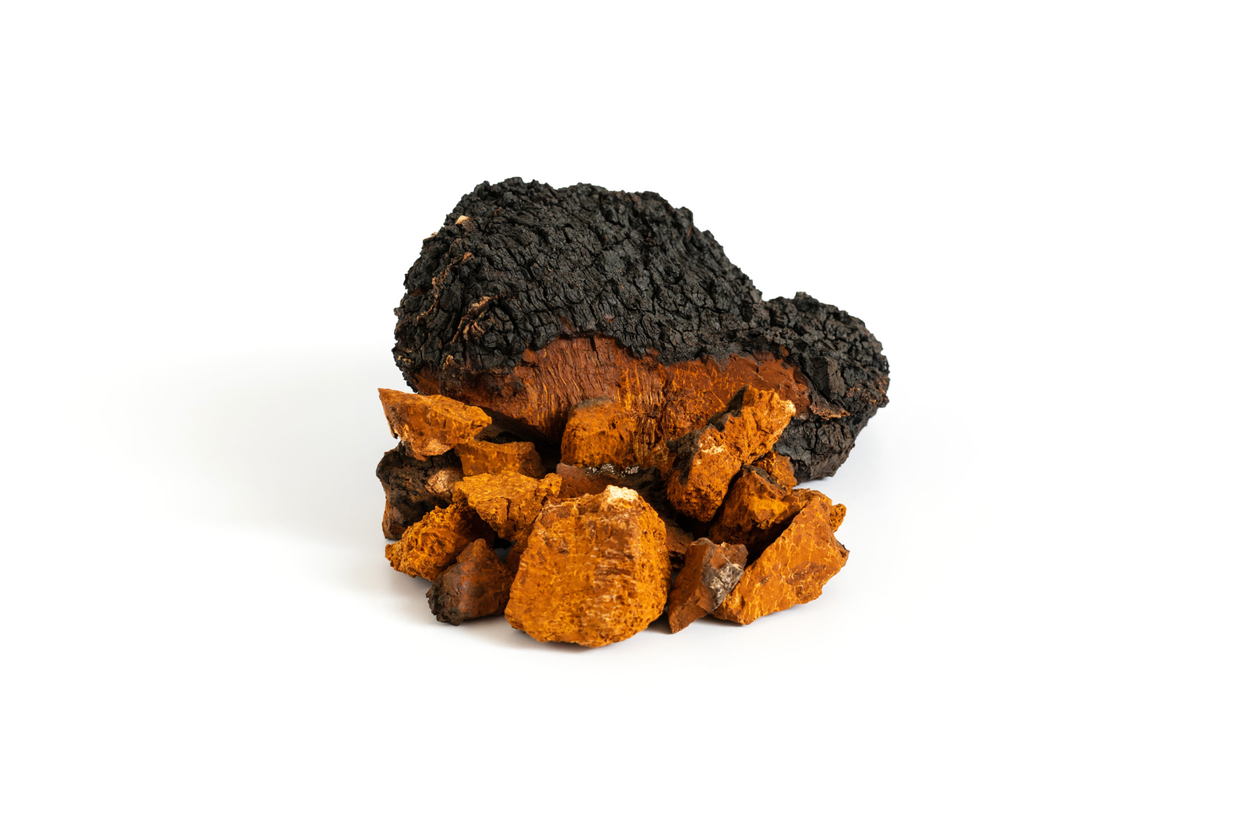 Chaga Mushrooms